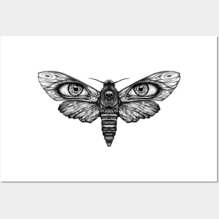 Moth Posters and Art